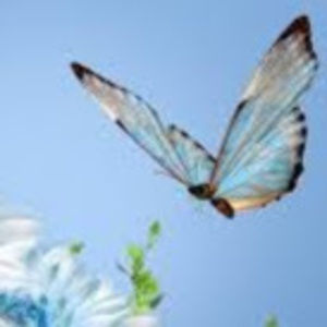 Meet your Posher, Opal